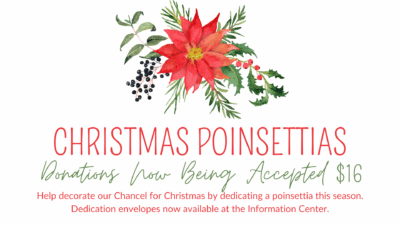 Christmas Poinsettia Donations