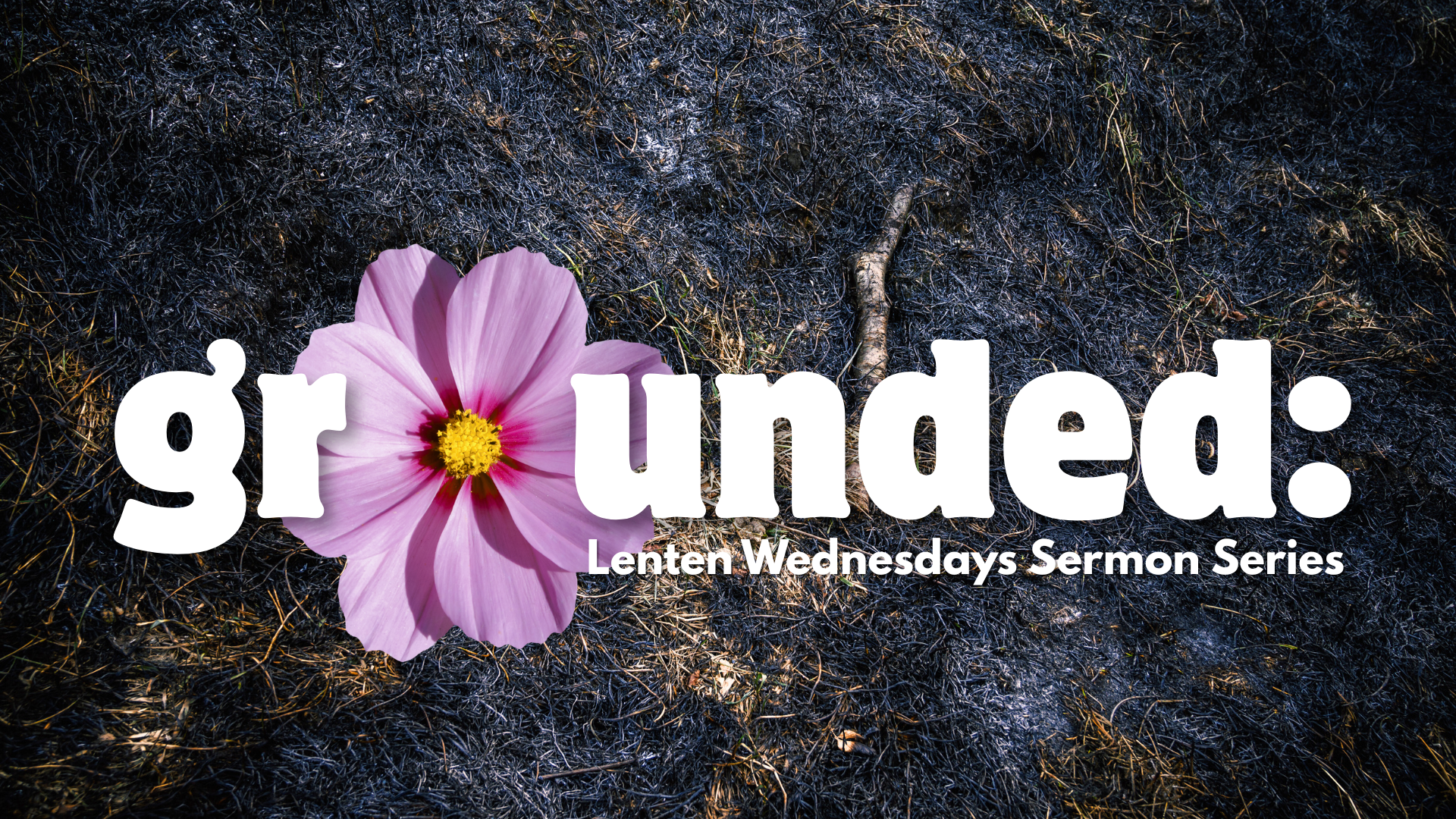 Lenten Wednesday Sermon Series
