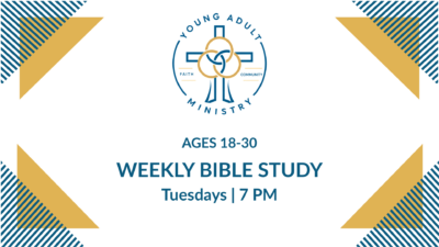 Young Adult Bible Study